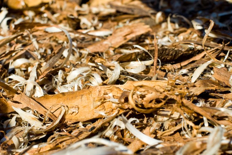 Wood Chips Removal Service