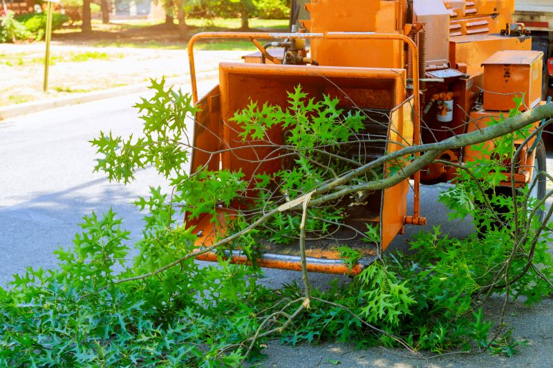 Wood Chips Removal