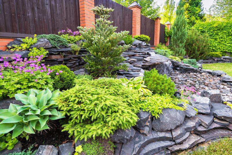 Dryscape Landscaping in Honolulu, HI