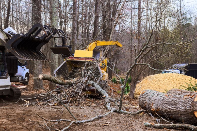 Products For Wood Chips Removals in use