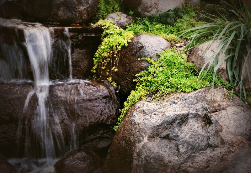 Waterscaping in Honolulu, HI